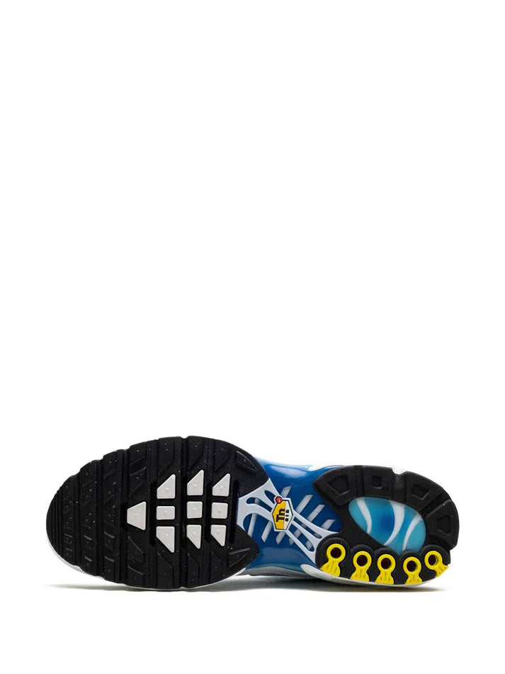 Nike Air Max Plus "Blue Gaze"